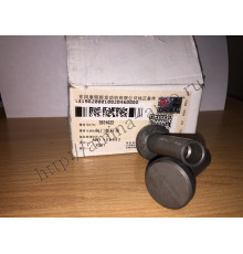 Толкатель клапана (6CT*C245-20)